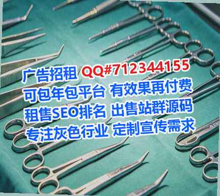 船山代生互联网工作室
